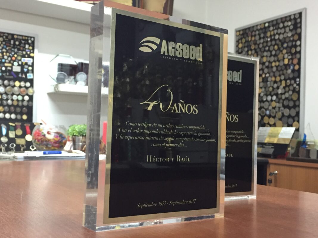 Premio aziendale con logo in plexiglas trofeo economici Mini premio acrilico inciso al laser personalizzato premiazione in plexiglas coppa - Italia