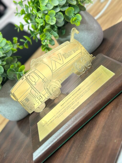 Premios Personalizados Forma metal o acrilica con base grande 20x15 cm